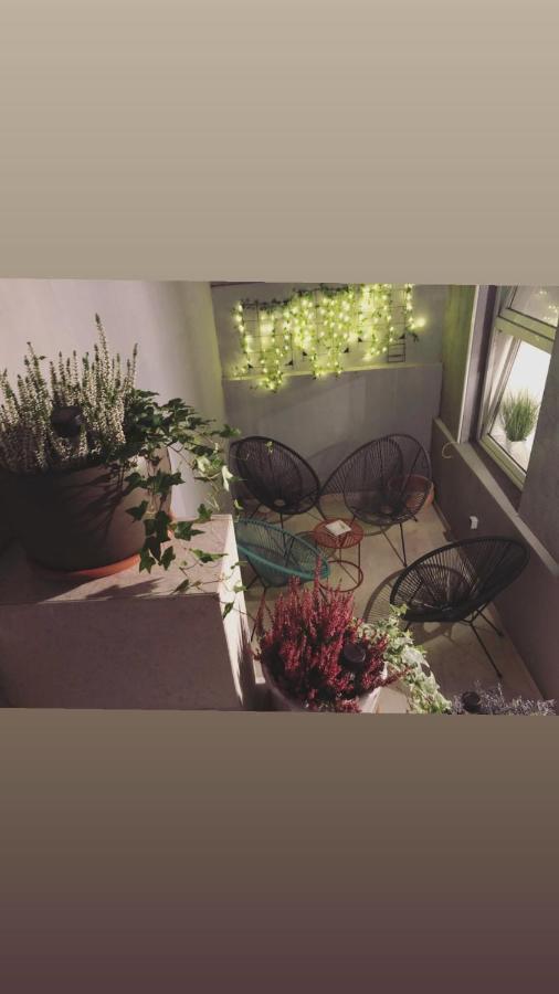 Apartments Santini 萨格勒布 外观 照片